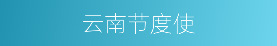云南节度使的同义词