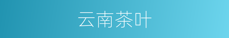 云南茶叶的同义词