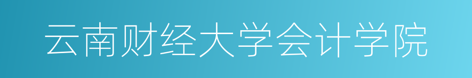 云南财经大学会计学院的同义词
