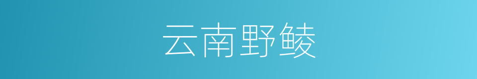 云南野鲮的同义词