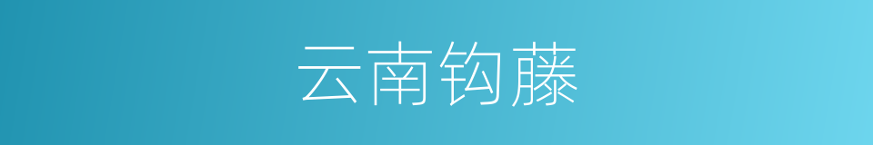 云南钩藤的同义词