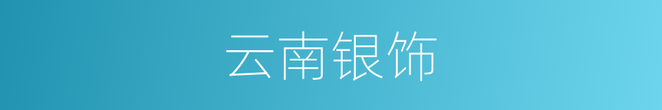 云南银饰的同义词