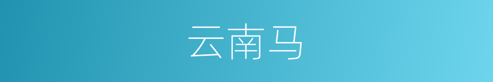 云南马的同义词