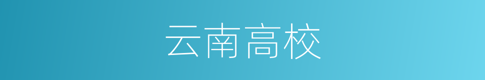云南高校的同义词