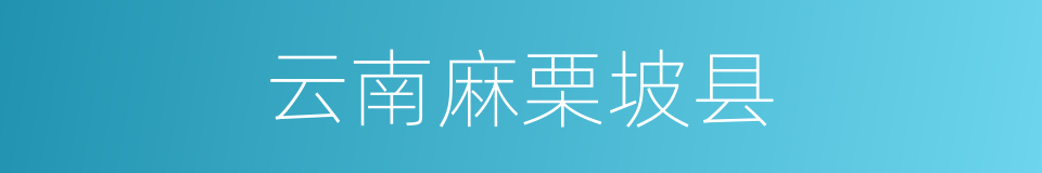 云南麻栗坡县的同义词