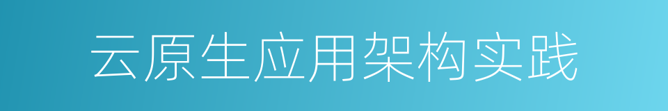 云原生应用架构实践的同义词