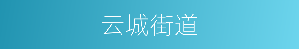 云城街道的同义词