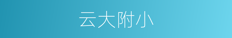 云大附小的同义词