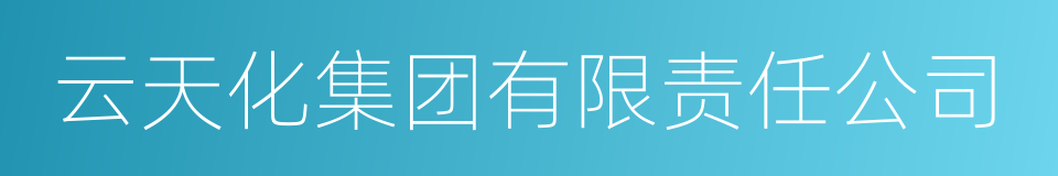 云天化集团有限责任公司的同义词