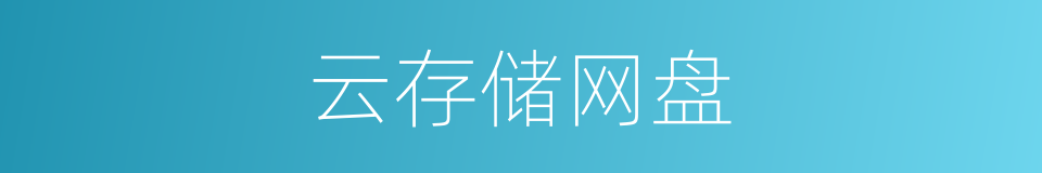 云存储网盘的同义词