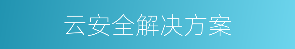 云安全解决方案的同义词