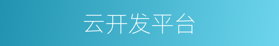 云开发平台的同义词