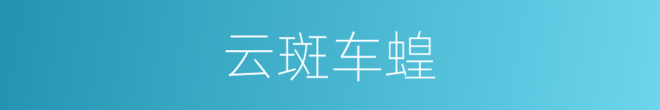 云斑车蝗的同义词