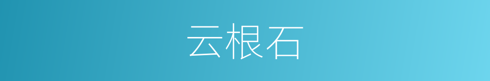 云根石的同义词