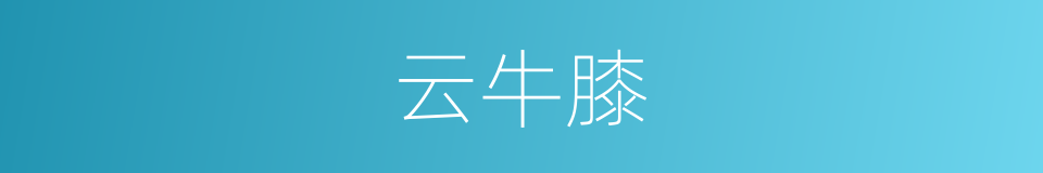云牛膝的同义词