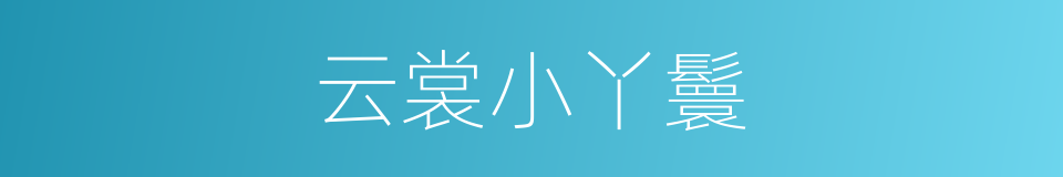 云裳小丫鬟的同义词