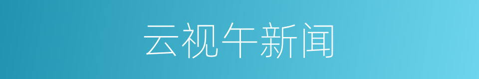 云视午新闻的同义词