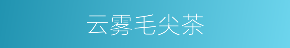 云雾毛尖茶的同义词