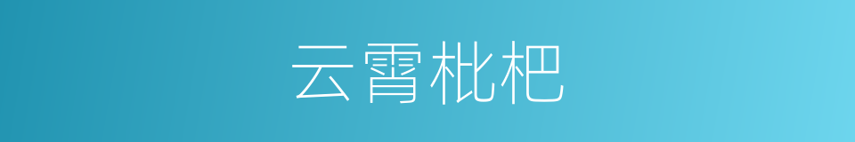 云霄枇杷的同义词