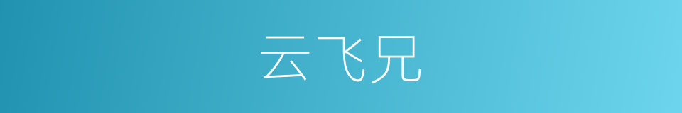 云飞兄的同义词