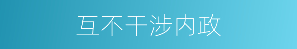 互不干涉内政的同义词