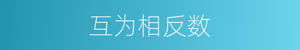 互为相反数的同义词