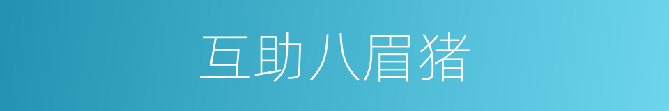 互助八眉猪的同义词