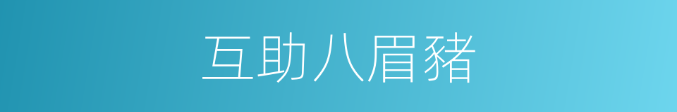 互助八眉豬的同義詞