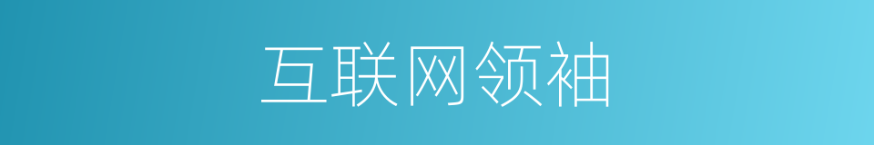 互联网领袖的同义词
