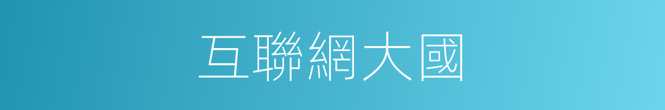 互聯網大國的同義詞