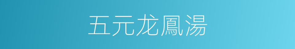五元龙鳳湯的同義詞