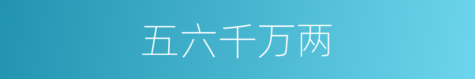 五六千万两的同义词