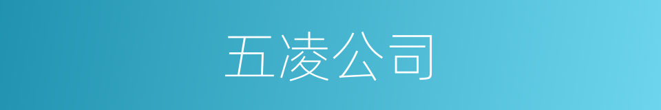 五凌公司的同义词