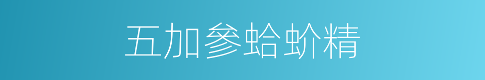 五加參蛤蚧精的同義詞