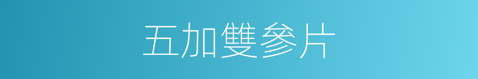 五加雙參片的同義詞