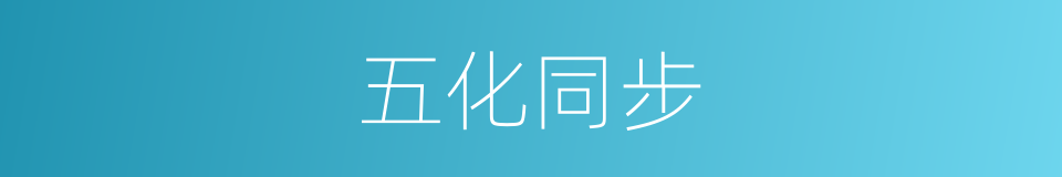 五化同步的同义词
