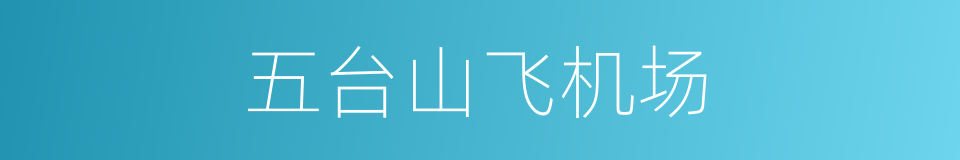 五台山飞机场的同义词