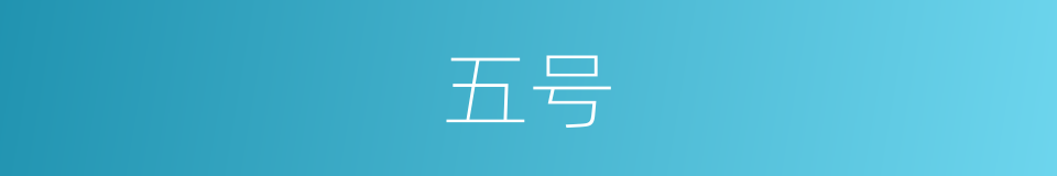 五号的意思