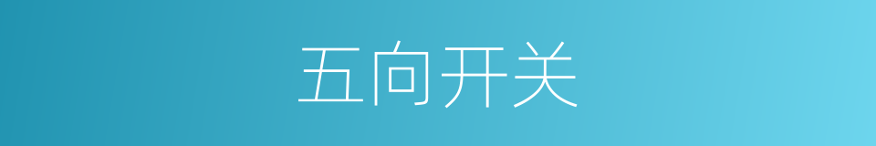 五向开关的同义词