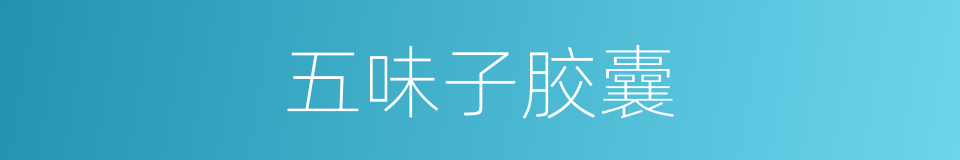 五味子胶囊的同义词
