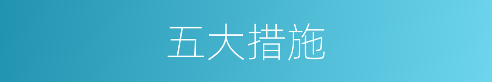 五大措施的同义词