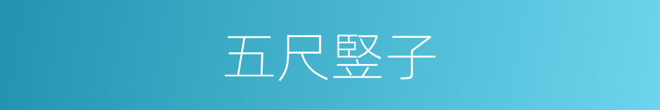 五尺竪子的同义词