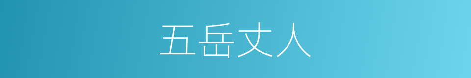 五岳丈人的意思