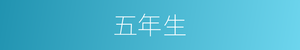 五年生的同义词