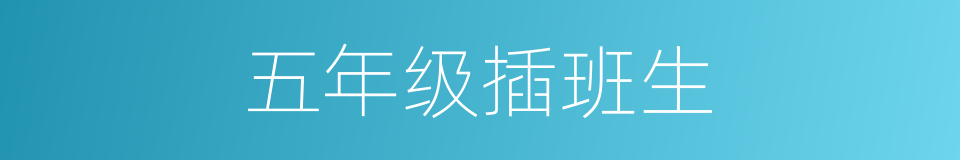 五年级插班生的同义词