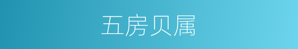 五房贝属的同义词