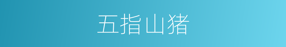 五指山猪的同义词