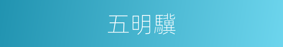 五明驥的意思