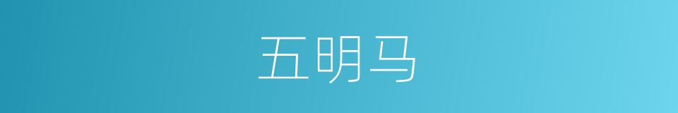 五明马的意思