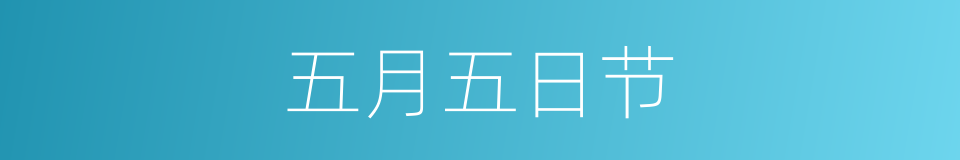 五月五日节的同义词